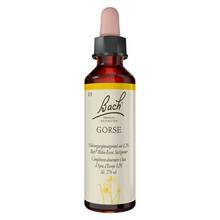 Abbildung: Bachblüten Gorse Tropfen 20 ml, Tropfen PZN 00059884 