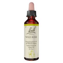 Abbildung: Bachblüten Wild Rose Tropfen 20 ml, Tropfen PZN 00170127 