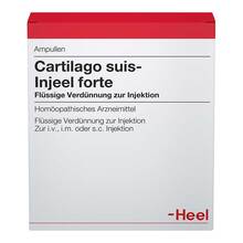 Abbildung: CARTILAGO suis Injeel forte Ampullen 10 St, Ampullen PZN 00181220 