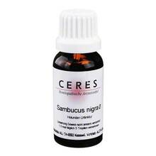 Abbildung: CERES Sambucus nigra Urtinktur 20 ml, Tropfen PZN 00241086 