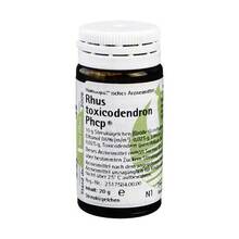 Abbildung: Rhus Toxicodendronicodendron Phcp Globuli 20 g, Globuli PZN 00359801 