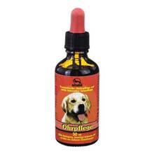 Abbildung: Fortan Ohrpflegemittel vet. (für Tiere) 50 ml, Flüssigkeit PZN 00393494 