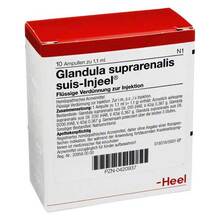 Abbildung: GLANDULA SUPRARENALIS suis Injeel Ampullen 10 St, Ampullen PZN 00420937 