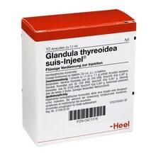 Abbildung: GLANDULA THYREOIDEA suis Injeel Ampullen 10 St, Ampullen PZN 00421316 