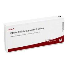 Abbildung: Citrus E Fructibus / Cydonia e fructibus Ampullen 10X1 ml, Ampullen PZN 00426986 