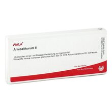 Abbildung: Arnica / Aurum II Ampullen 10X1 ml, Ampullen PZN 00454617 