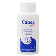 Abbildung: Canea pH6 alkalifreie Waschlotion 250 ml, Lotion PZN 00494427 