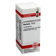  PZN 00545834 10 g, Globuli