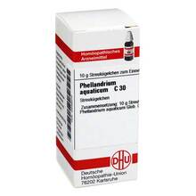 Abbildung: Phellandrium Aquaticum C 30 Globuli 10 g, Globuli PZN 00546070 