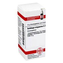 Abbildung: Solidago virgaurea C 200 Globuli 10 g, Globuli PZN 00546147 