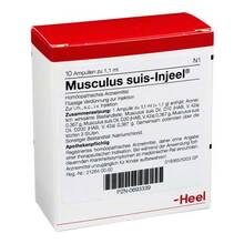 Abbildung: MUSCULUS SUIS Injeel Ampullen 10 St, Ampullen PZN 00693339 