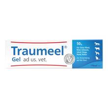 Abbildung: Traumeel Gel ad us.vet. (für Tiere) 50 g, Gel PZN 00833912 