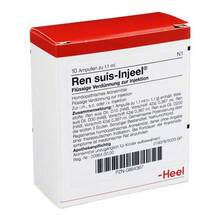 Abbildung: REN suis Injeel Ampullen 10 St, Ampullen PZN 00864367 