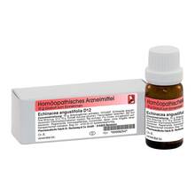 Abbildung: Echinacea Angustifolia D 12 Globuli 10 g, Globuli PZN 00908254 