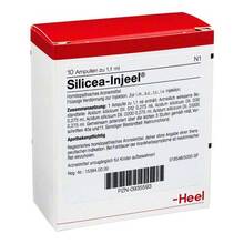 Abbildung: SILICEA INJEEL Ampullen 10 St, Ampullen PZN 00935593 
