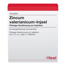 Abbildung: Zincum valerianicum Injeel Ampullen 10 St, Ampullen PZN 01149997 