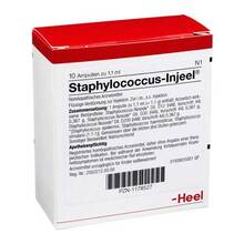 Abbildung: STAPHYLOCOCCUS INJEEL Ampullen 10 St, Ampullen PZN 01178527 