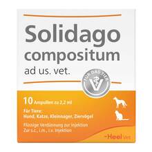 Abbildung: Solidago Compositum ad us.vet.Ampullen 10 St, Ampullen PZN 01219864 