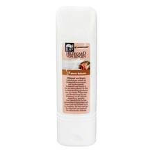 Abbildung: Hildegard Von Bingen Gelenkbalsam AC 100 ml, Balsam PZN 01360491 