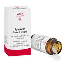 Abbildung: Agropyron Globuli velati 20 g, Globuli PZN 01447861 