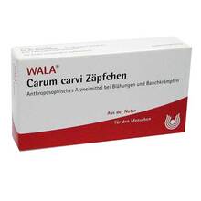 Abbildung: Carum Carvi Zäpfchen 10X2 g, Suppositorien PZN 01447973 