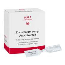 Abbildung: Chelidonium comp.Augentropfen 30X0.5 ml, Augentropfen PZN 01448010 