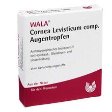Abbildung: Cornea Levisticum comp.Augentropfen 5X0.5 ml, Augentropfen PZN 01448116 