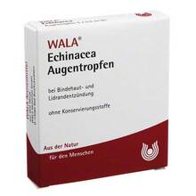 Abbildung: ECHINACEA AUGENTROPFEN 5X0.5 ml, Augentropfen PZN 01448139 