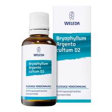Abbildung: Bryophyllum Argento cultum D 3 Dilution 50 ml, Dilution PZN 01571934 