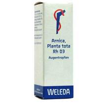 Abbildung: ARNICA PLANTA tota Rh D 3 Augentropfen 10 ml, Augentropfen PZN 01572069 