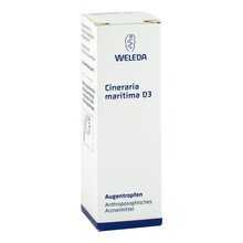 Abbildung: CINERARIA maritima D 3 Augentropfen 10 ml, Augentropfen PZN 01572483 