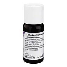 Abbildung: CICHORIUM STANNO cultum D 3 Dilution 50 ml, Dilution PZN 01615040 