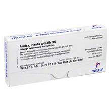 Abbildung: ARNICA PLANTA tota Rh D 6 Ampullen 8X1 ml, Ampullen PZN 01618274 