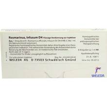 Abbildung: ROSMARINUS D 4 Ampullen 8X1 ml, Ampullen PZN 01625937 