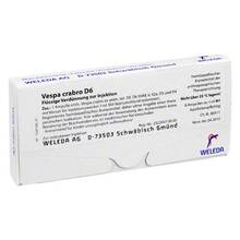 Abbildung: VESPA CRABRO D 6 Ampullen 8X1 ml, Ampullen PZN 01627238 