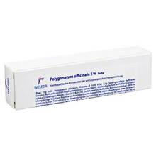 Abbildung: Polygonatum Officinale 5% Salbe 25 g, Salbe PZN 01628309 