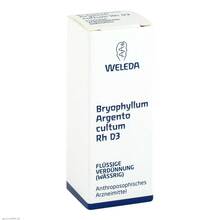 Abbildung: BRYOPHYLLUM ARGENTO cultum Rh D 3 Dilution 20 ml, Dilution PZN 01629711 