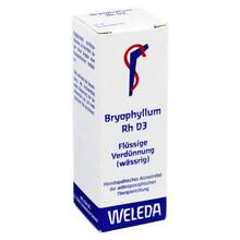 Abbildung: BRYOPHYLLUM RH D 3 Dilution 20 ml, Dilution PZN 01629964 