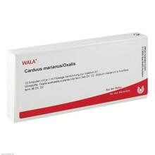 Abbildung: Carduus marianus / Oxalis Ampullen 10X1 ml, Ampullen PZN 01751091 