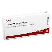 Abbildung: GLANDULAE SUPRARENALES comp.Ampullen 10X1 ml, Ampullen PZN 01751501 