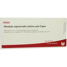 Abbildung: GLANDULA SUPRARENALIS sinistra cum Cupro Ampullen 10X1 ml, Ampullen PZN 01751524 