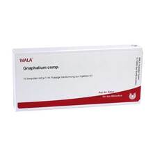 Abbildung: GNAPHALIUM COMP.Ampullen 10X1 ml, Ampullen PZN 01751547 