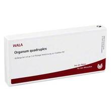 Abbildung: ORGANUM quadruplex Ampullen 10X1 ml, Ampullen PZN 01751808 