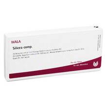 Abbildung: SILICEA COMP.Ampullen 10X1 ml, Ampullen PZN 01752179 