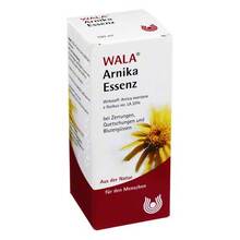  PZN 01753859 100 ml, Essenz