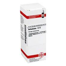 Abbildung: BELLADONNA D 12 Dilution 20 ml, Dilution PZN 01760291 
