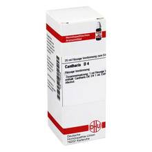 Abbildung: CANTHARIS D 4 Dilution 20 ml, Dilution PZN 01763409 