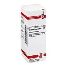 Abbildung: CARDUUS MARIANUS D 4 Dilution 20 ml, Dilution PZN 01764047 