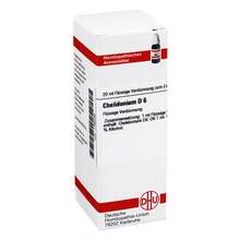 Abbildung: CHELIDONIUM D 6 Dilution 20 ml, Dilution PZN 01765035 