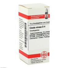 Abbildung: CICUTA VIROSA D 4 Globuli 10 g, Globuli PZN 01765905 